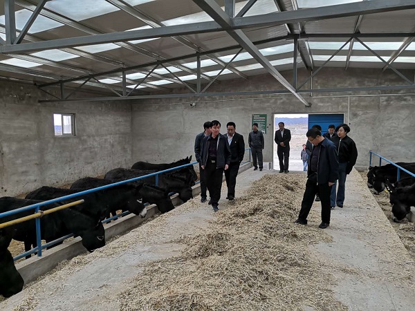 201911291574992930532260.jpg 白銀平川區2.jpg