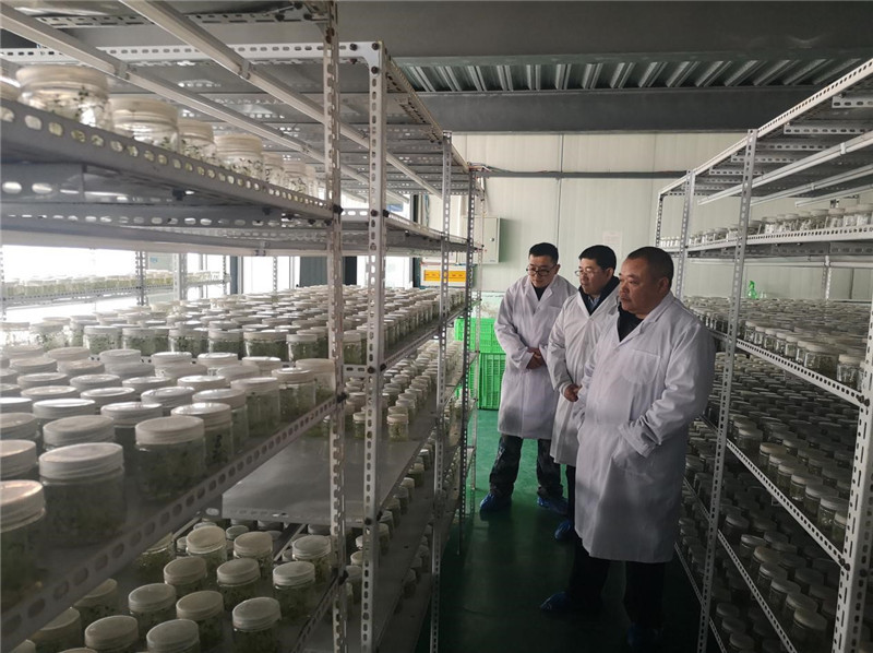 202001141578967992844283.jpg 1.jpg